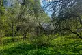Land  Nikolskoe, Russia