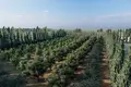 4 bedroom house 169 m² Pervolia, Cyprus