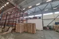Gewerbefläche 2 300 m² in Salaspils pagasts, Lettland