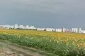 Gewerbefläche  Lisky, Ukraine