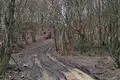 Земельные участки  Тианети, Грузия