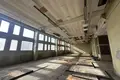 Produktion 3 000 m² in Minsk, Belarus