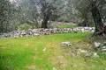 Land 1 room  Agnitsini, Greece