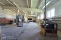 Entrepôt 1 163 m² à Lahojsk selsaviet, Bélarus