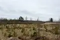 Grundstück 31 500 m² Lizuma pagasts, Lettland