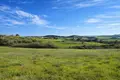 Land 11 817 m² Megali Panagia, Greece