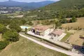 Propiedad comercial 982 m² en Poppi, Italia