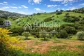 Parcelas 2 800 m² Nikiti, Grecia