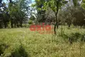 Działki 4 650 m² Amisiana, Grecja