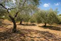 Atterrir 16 728 m² Neos Marmaras, Grèce