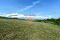 Коммерческое помещение 507 м² Caprese Michelangelo, Италия
