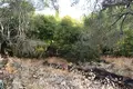 Land 1 room 6 500 m² Kariotiko, Greece