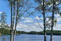 Villa New with Scandinavian design near Helsinki