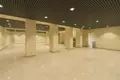 Propriété commerciale 480 m² à Riga, Lettonie
