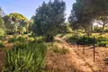 Grundstück  Vejer de la Frontera, Spanien