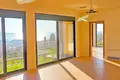 Haus 4 Schlafzimmer 360 m² Susanj, Montenegro