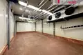 Commercial property 22 351 m² in Pravetin, Czech Republic