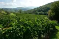 Investition 1 067 m² Greve in Chianti, Italien