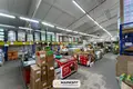 Commercial property 1 786 m² in Dziahilna, Belarus