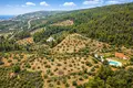 Parcelas 8 500 m² Neos Marmaras, Grecia