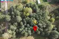 Land  Riese, Lithuania