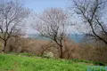 Commercial property  in Odesa, Ukraine