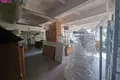 Propiedad comercial 1 600 m² en Vilna, Lituania
