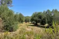 Земельные участки 1 комната  Municipality of Southern Corfu, Греция