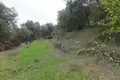 Działki 1 pokój  Pelekas, Grecja