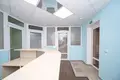 Commercial property 220 m² in Minsk, Belarus