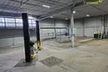 Коммерческое помещение 3 комнаты 222 м² в Минске, Беларусь