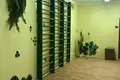 Commercial property 3 500 m² in Zaozernoe, Ukraine