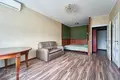 Wohnung 1 zimmer 43 m² Minsk, Belarus