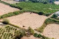 Land  Kathikas, Cyprus