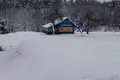 House  Viazynka, Belarus