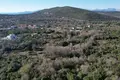 Parcelas  Montenegro, Montenegro