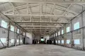Commercial property 4 000 m² in Deliatyn, Ukraine