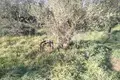 Land 5 000 m² Paralia Dionisiou, Greece
