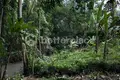 Parcelas  Tumbak Bayuh, Indonesia