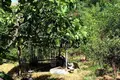 Land  Tivat, Montenegro