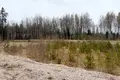 Grundstück 31 500 m² Lizuma pagasts, Lettland