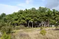 Land 1 room  Municipality of Pylaia - Chortiatis, Greece