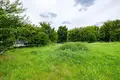 House 44 m² Mir, Belarus