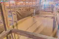 Nieruchomości komercyjne 1 118 m² Barzdy, Litwa
