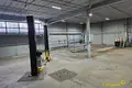 Propiedad comercial 222 m² en Minsk, Belarús