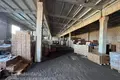 Warehouse 2 378 m² in Sluck, Belarus