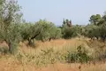 Land 1 room  Municipality of Sithonia, Greece