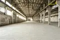 Manufacture 12 000 m² in Novalukoml, Belarus