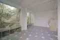 villa de 5 dormitorios 770 m² Radovici, Montenegro
