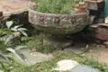 Земельные участки  Сокольники, Беларусь